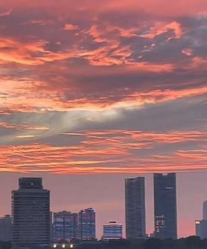 暖心向阳h，男,年龄：32岁，婚况：未婚，职业：技术员